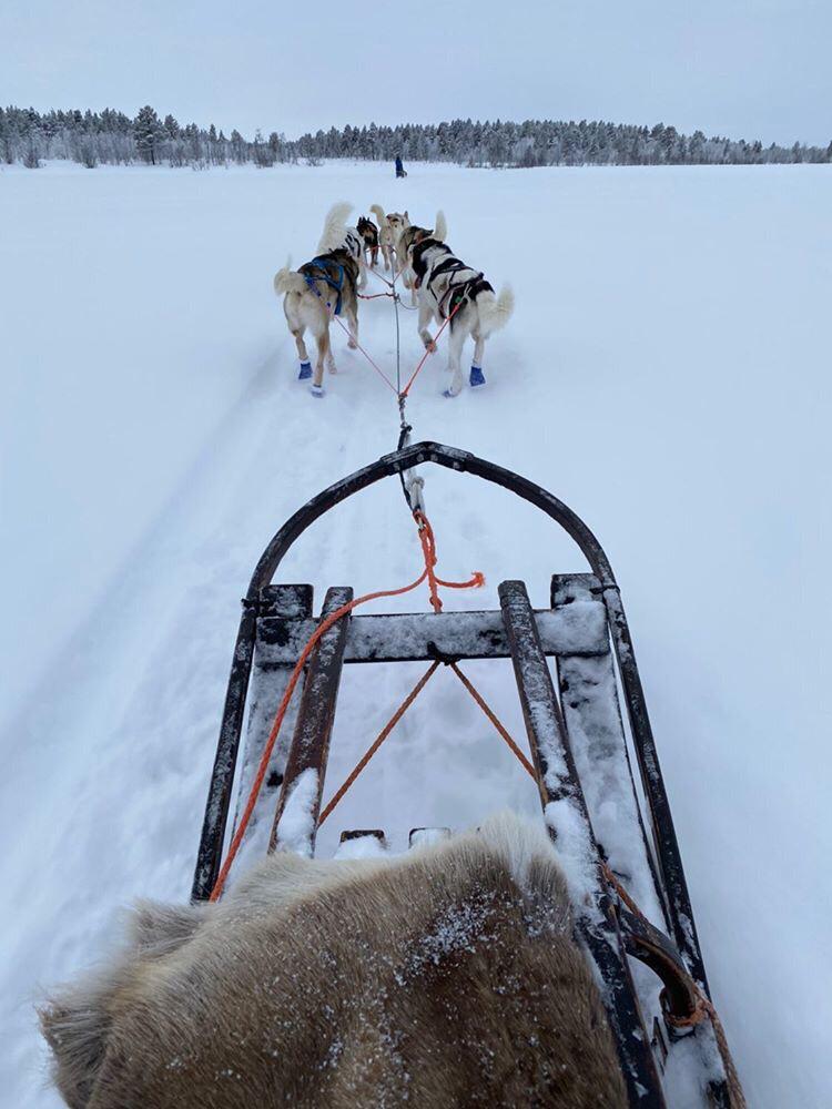 Mirja and Simo´s favorite picture from Lapland: what an adventure!