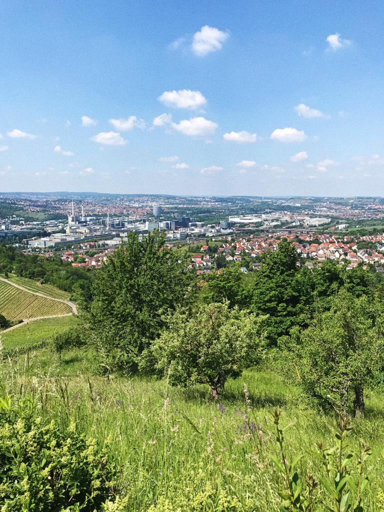Eine Empfehlung aus einem alten Reiseführer: die Grabkapelle auf dem Württemberg.